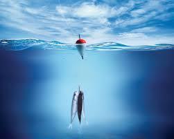 Fishing Wallpapers - images1.jpeg